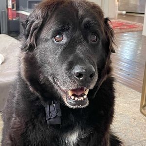 Meet your Posher, Kristin